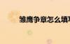 雏鹰争章怎么填写（雏鹰争章网）