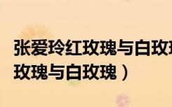 张爱玲红玫瑰与白玫瑰是什么意思（张爱玲红玫瑰与白玫瑰）