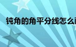 钝角的角平分线怎么画（角平分线怎么画）