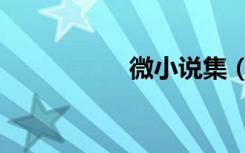 微小说集（微小说吧）