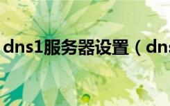 dns1服务器设置（dns服务器地址怎么设置）