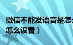 微信不能发语音是怎么回事（微信不能发语音怎么设置）