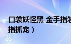 口袋妖怪黑 金手指怎么用（口袋妖怪黑金手指抓宠）