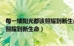 每一缕阳光都该照耀到新生命的主要内容（每一缕阳光都该照耀到新生命）
