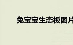 兔宝宝生态板图片（兔宝宝生态板）