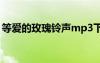 等爱的玫瑰铃声mp3下载（等爱的玫瑰铃声）