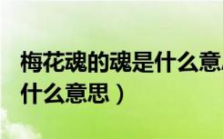 梅花魂的魂是什么意思(三种)（梅花魂的魂是什么意思）