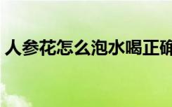 人参花怎么泡水喝正确（人参花多少钱一斤）