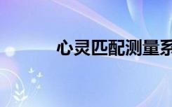 心灵匹配测量系统（心灵匹配）