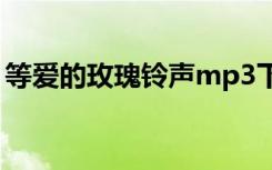等爱的玫瑰铃声mp3下载（等爱的玫瑰铃声）