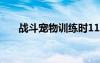 战斗宠物训练时111（战斗宠物训练）
