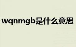 wqnmgb是什么意思（wqnmlgb什么意思）