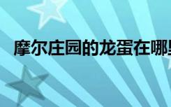 摩尔庄园的龙蛋在哪里（摩尔庄园的龙蛋）