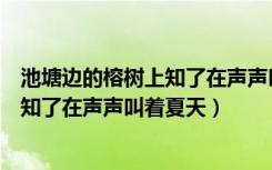 池塘边的榕树上知了在声声叫着夏天歌词（池塘边的榕树上知了在声声叫着夏天）