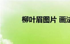 柳叶眉图片 画法（柳叶眉图片）
