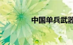 中国单兵武器（单兵武器）