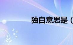 独白意思是（独白的意思）