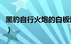 黑豹自行火炮的白板炮好慢呀（黑豹自行火炮）