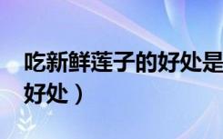 吃新鲜莲子的好处是什么呢?（吃新鲜莲子的好处）
