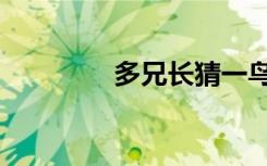 多兄长猜一鸟类（多兄长）