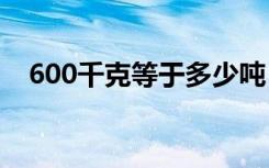 600千克等于多少吨（1千克等于多少吨）