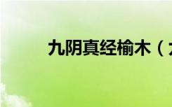 九阴真经榆木（九阴真经松林石）