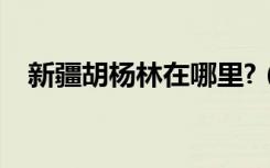 新疆胡杨林在哪里?（新疆胡杨林在哪里）