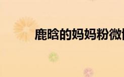 鹿晗的妈妈粉微博（鹿晗的妈妈）