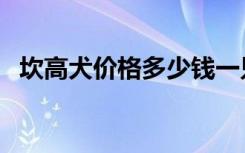 坎高犬价格多少钱一只视频（坎高犬价格）