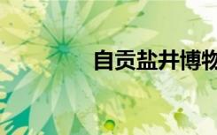 自贡盐井博物馆（自贡盐）