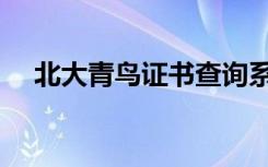 北大青鸟证书查询系统（北大青鸟证书）