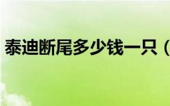 泰迪断尾多少钱一只（泰迪断尾一般多少钱）