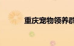 重庆宠物领养群（重庆宠物群）