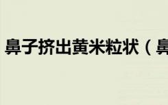 鼻子挤出黄米粒状（鼻子挤出黄黄的油脂粒）