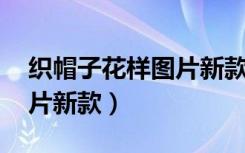 织帽子花样图片新款 图案（织帽子的花样图片新款）