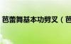 芭蕾舞基本功劈叉（芭蕾舞基本功撕胯疼哭）