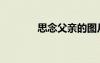 思念父亲的图片（思念父亲）