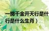 一掷千金开天行是什么生肖?（一掷千金开天行是什么生肖）