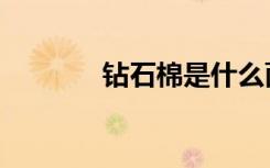 钻石棉是什么面料（钻石棉）
