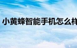 小黄蜂智能手机怎么样（小黄蜂手机怎么样）