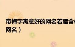 带梅字寓意好的网名若脂含梅是什么意思（带梅字寓意好的网名）