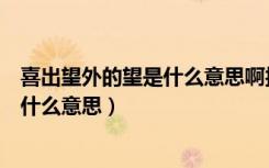 喜出望外的望是什么意思啊按第七版的来（喜出望外的望是什么意思）