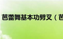 芭蕾舞基本功劈叉（芭蕾舞基本功撕胯疼哭）