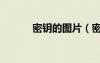 密钥的图片（密钥是什么图片）