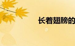 长着翅膀的大灰狼小说