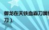 御龙在天铁血霸刀属性加点（御龙在天铁血霸刀）