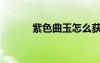 紫色曲玉怎么获得（紫色曲玉）