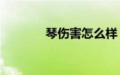 琴伤害怎么样（琴伤双放版）