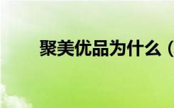 聚美优品为什么（聚美优品上不去）