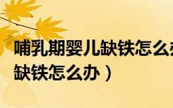 哺乳期婴儿缺铁怎么办吃什么药（哺乳期婴儿缺铁怎么办）